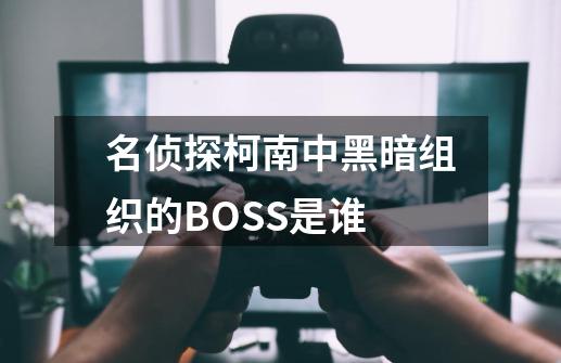 名侦探柯南中黑暗组织的BOSS是谁-第1张-游戏资讯-龙启科技