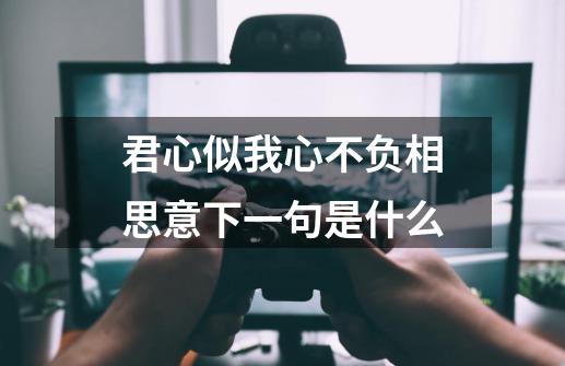 君心似我心不负相思意下一句是什么-第1张-游戏资讯-龙启科技