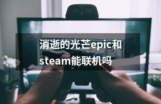 消逝的光芒epic和steam能联机吗-第1张-游戏资讯-龙启科技