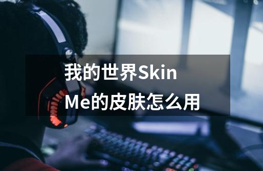 我的世界Skin Me的皮肤怎么用-第1张-游戏资讯-龙启科技