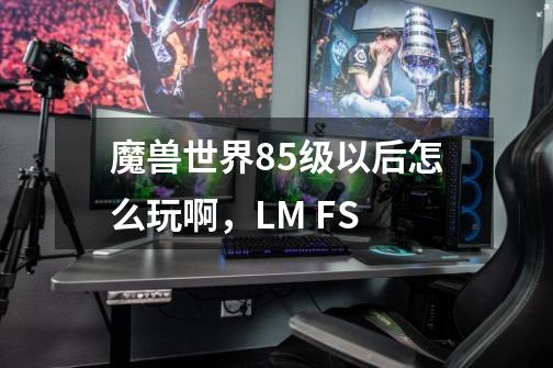 魔兽世界85级以后怎么玩啊，LM FS-第1张-游戏资讯-龙启科技