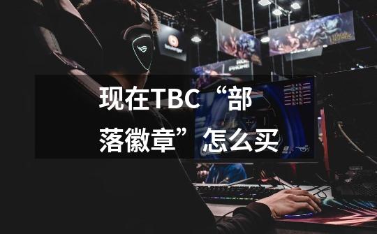 现在TBC“部落徽章”怎么买-第1张-游戏资讯-龙启科技