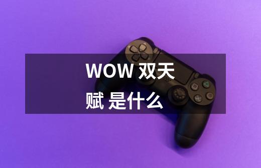 WOW 双天赋 是什么-第1张-游戏资讯-龙启科技