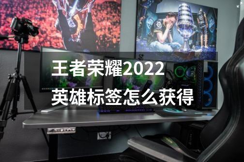 王者荣耀2022英雄标签怎么获得-第1张-游戏资讯-龙启科技