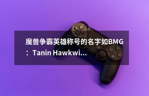 魔兽争霸英雄称号的名字如BMG：Tanin Hawkwing，特别是恶魔猎手和死亡骑士的名字！-第1张-游戏资讯-龙启科技