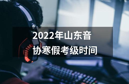 2022年山东音协寒假考级时间-第1张-游戏资讯-龙启科技