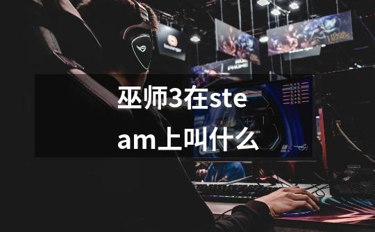 巫师3在steam上叫什么-第1张-游戏资讯-龙启科技