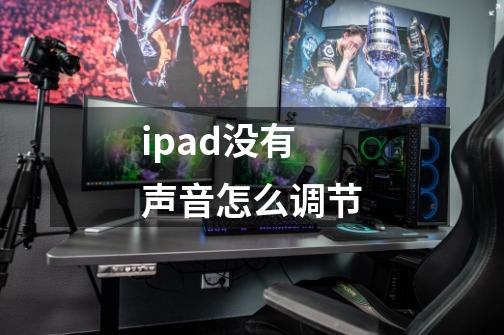 ipad没有声音怎么调节-第1张-游戏资讯-龙启科技