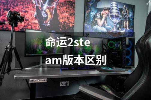 命运2steam版本区别-第1张-游戏资讯-龙启科技