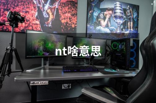 nt啥意思-第1张-游戏资讯-龙启科技