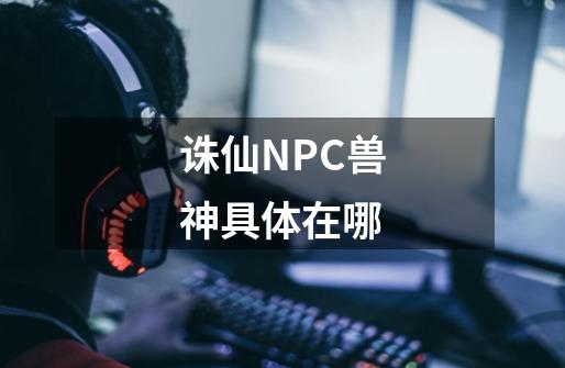 诛仙NPC兽神具体在哪-第1张-游戏资讯-龙启科技