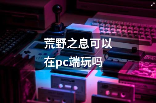 荒野之息可以在pc端玩吗-第1张-游戏资讯-龙启科技