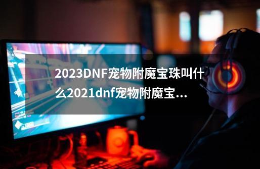 2023DNF宠物附魔宝珠叫什么2021dnf宠物附魔宝珠有哪些-第1张-游戏资讯-龙启科技