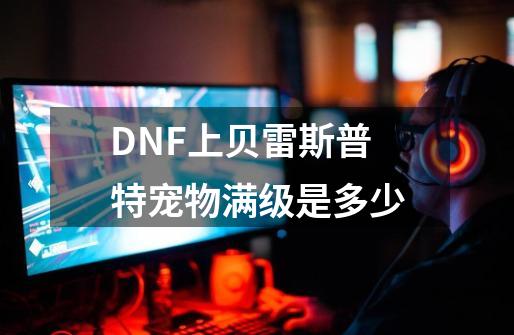 DNF上贝雷斯普特宠物满级是多少-第1张-游戏资讯-龙启科技