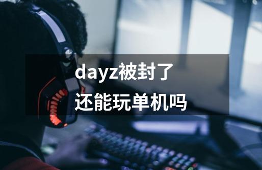 dayz被封了还能玩单机吗-第1张-游戏资讯-龙启科技