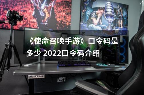 《使命召唤手游》口令码是多少 2022口令码介绍-第1张-游戏资讯-龙启科技