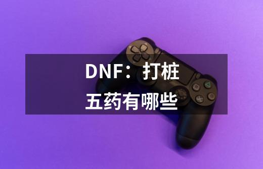 DNF：打桩五药有哪些-第1张-游戏资讯-龙启科技