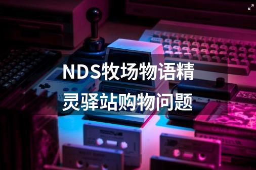 NDS牧场物语精灵驿站购物问题-第1张-游戏资讯-龙启科技