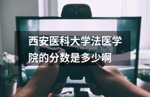 西安医科大学法医学院的分数是多少啊-第1张-游戏资讯-龙启科技