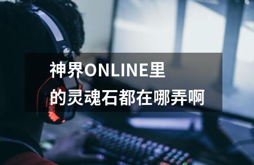 神界ONLINE里的灵魂石都在哪弄啊-第1张-游戏资讯-龙启科技