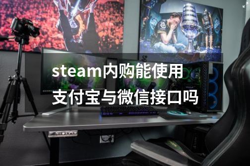 steam内购能使用支付宝与微信接口吗-第1张-游戏资讯-龙启科技