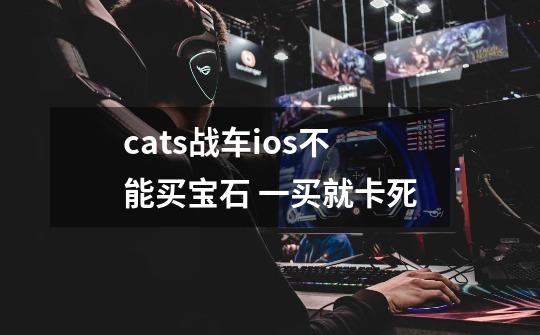 cats战车ios不能买宝石 一买就卡死-第1张-游戏资讯-龙启科技