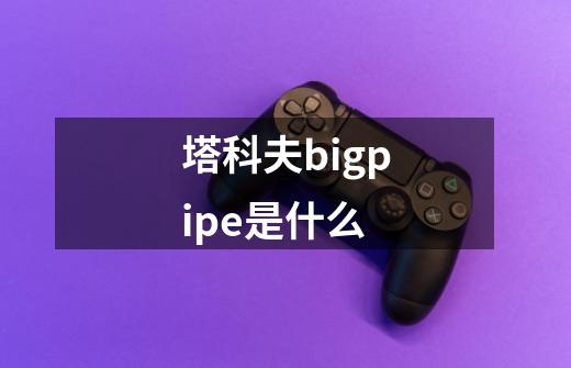 塔科夫bigpipe是什么-第1张-游戏资讯-龙启科技