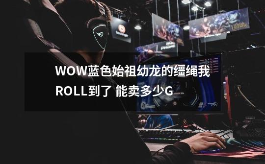 WOW蓝色始祖幼龙的缰绳我ROLL到了 能卖多少G-第1张-游戏资讯-龙启科技