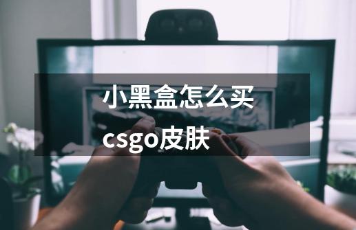 小黑盒怎么买csgo皮肤-第1张-游戏资讯-龙启科技