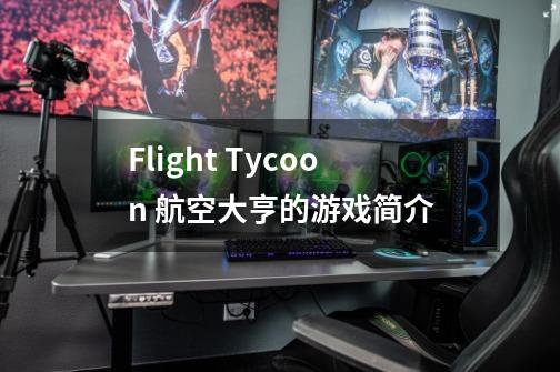 Flight Tycoon 航空大亨的游戏简介-第1张-游戏资讯-龙启科技