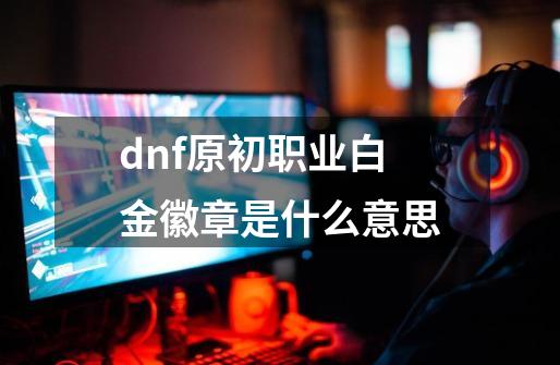 dnf原初职业白金徽章是什么意思-第1张-游戏资讯-龙启科技