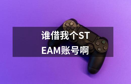 谁借我个STEAM账号啊-第1张-游戏资讯-龙启科技