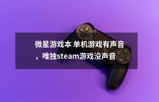 微星游戏本 单机游戏有声音，唯独steam游戏没声音-第1张-游戏资讯-龙启科技