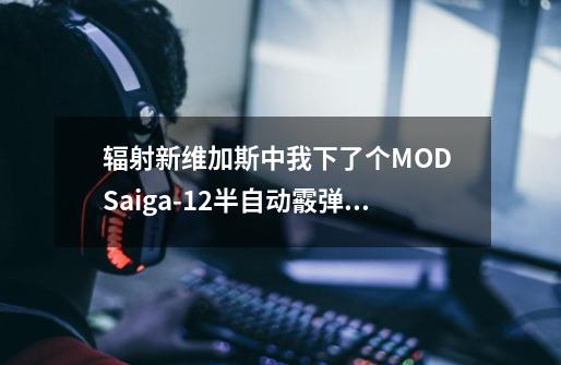 辐射新维加斯中我下了个MOD Saiga-12半自动霰弹枪 代码是多少-第1张-游戏资讯-龙启科技