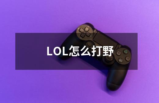 LOL怎么打野-第1张-游戏资讯-龙启科技