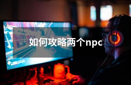 如何攻略两个npc-第1张-游戏资讯-龙启科技