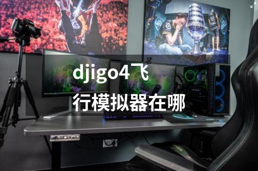 djigo4飞行模拟器在哪-第1张-游戏资讯-龙启科技