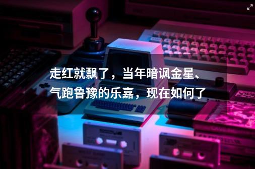 走红就飘了，当年暗讽金星、气跑鲁豫的乐嘉，现在如何了-第1张-游戏资讯-龙启科技