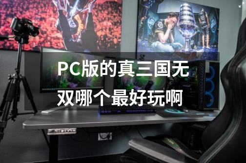 PC版的真三国无双哪个最好玩啊-第1张-游戏资讯-龙启科技