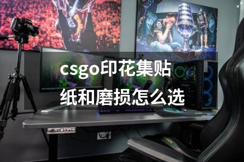 csgo印花集贴纸和磨损怎么选-第1张-游戏资讯-龙启科技