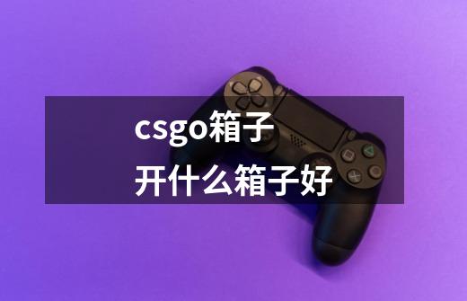 csgo箱子开什么箱子好-第1张-游戏资讯-龙启科技