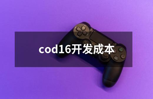 cod16开发成本-第1张-游戏资讯-龙启科技