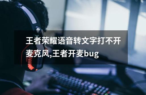 王者荣耀语音转文字打不开麦克风,王者开麦bug-第1张-游戏资讯-龙启科技