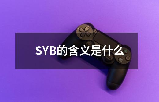 SYB的含义是什么-第1张-游戏资讯-龙启科技