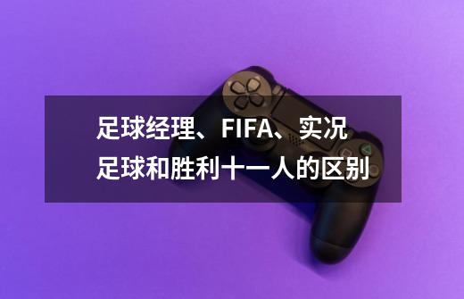 足球经理、FIFA、实况足球和胜利十一人的区别-第1张-游戏资讯-龙启科技