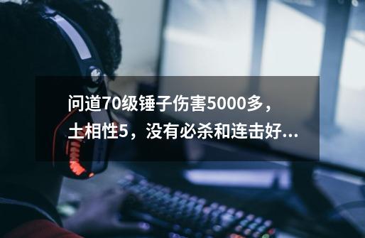 问道70级锤子伤害5000多，土相性5，没有必杀和连击好不好！说详细点-第1张-游戏资讯-龙启科技