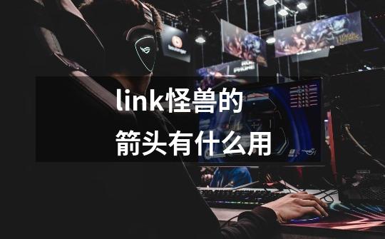 link怪兽的箭头有什么用-第1张-游戏资讯-龙启科技