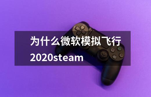 为什么微软模拟飞行2020steam-第1张-游戏资讯-龙启科技