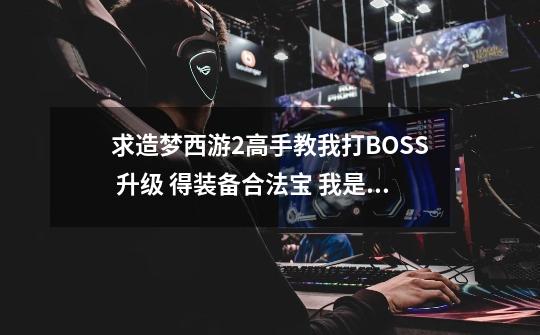 求造梦西游2高手教我打BOSS 升级 得装备合法宝 我是孙悟空21级-第1张-游戏资讯-龙启科技