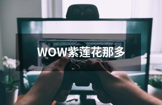 WOW紫莲花那多-第1张-游戏资讯-龙启科技